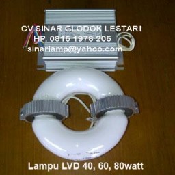 Lampu Induksi LVD Induction Lamp